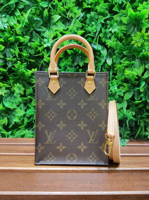 Louis Vuitton Petit Sac Plat/CA4220 二手手袋