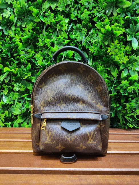 Louis Vuitton Palm Springs Mini/CA2197 二手手袋