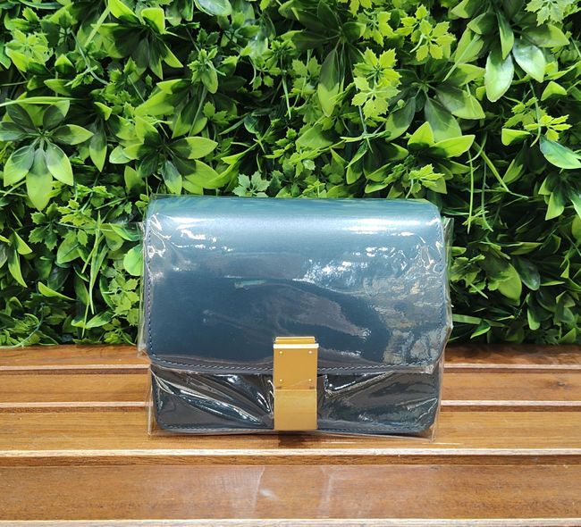 Celine Celine Box Small/W-MP-2176 二手手袋