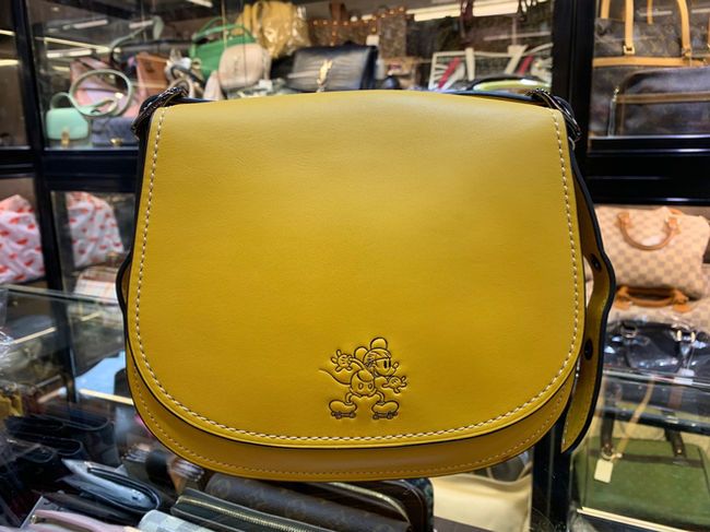 Coach Snoopy Bag 二手手袋