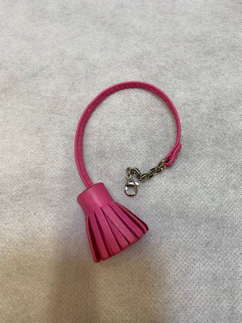 Hermes Petit Carmen 二手配飾